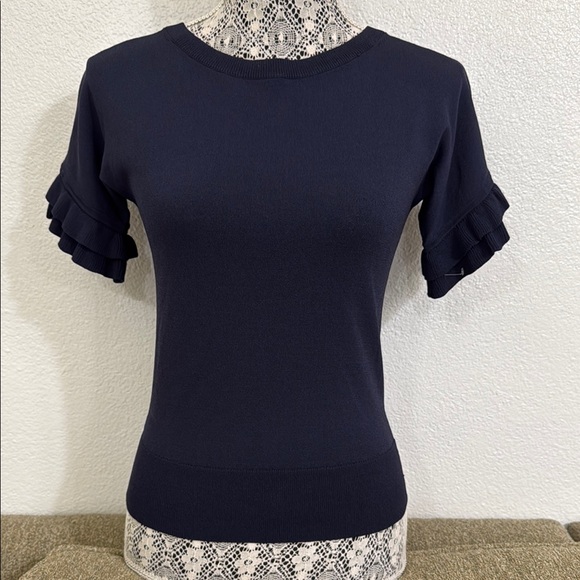 Ann Taylor Tops - Ann Taylor Blue Fitted Ruffled Blouse